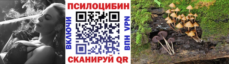 Галлюциногенные грибы Magic Shrooms  Почеп 